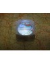 IR239	PROFESSIONAL MAP LENS WITH LED LIGHT